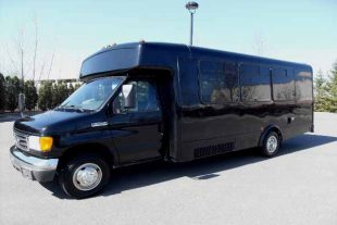 18 passenger party bus St Louis