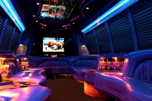 18 passenger party bus rental St Louis