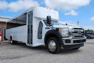 22 Passenger party bus rental St Louis