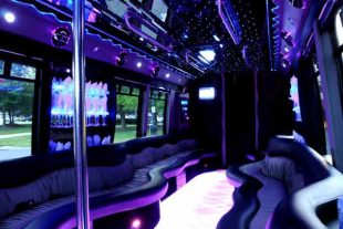 22 people party bus St Louis