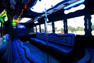 40 people party bus St Louis