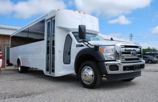 22-Passenger-Party-Bus-Rental-Alton-Illinois