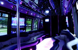 22-Seater-Party-Bus-Belleville-IL