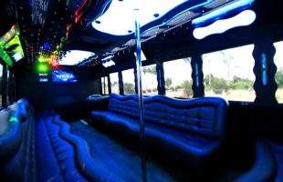 Party-Bus-For-40-People-Belleville